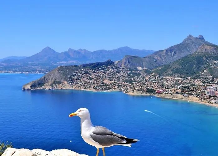 Aplayamar7 Apartment *