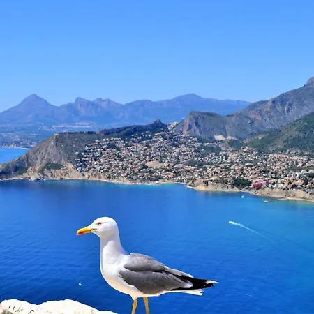 Aplayamar7 Διαμέρισμα *